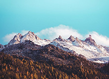 开云官网-乐鱼官网——开启极致线上娱乐体验的新天地