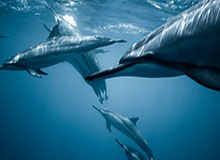 开云-kaiyun之旅：云端生活的美学与行动